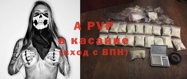 PSILOCYBIN Алзамай