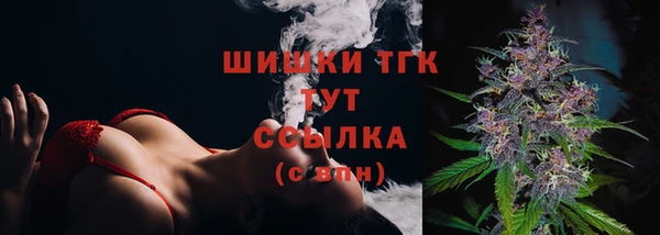 PSILOCYBIN Алзамай