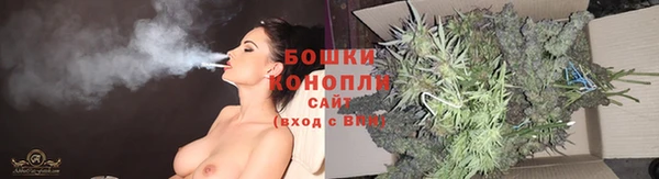 PSILOCYBIN Алзамай