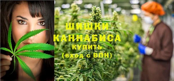 МДПВ Алексеевка