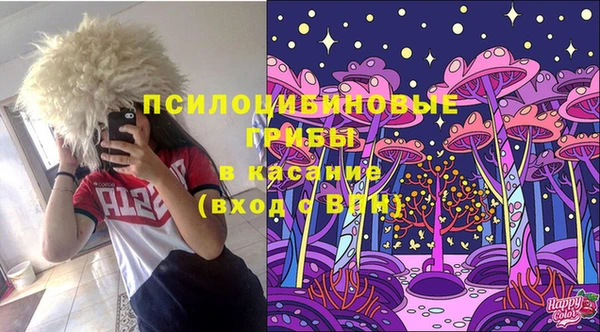 экстази Алексин