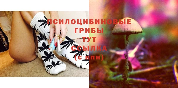 экстази Алексин